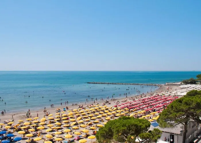 Sweet With Bright Garden In